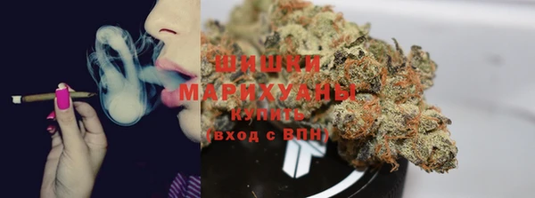 spice Белокуриха