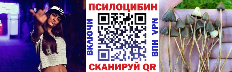 Псилоцибиновые грибы прущие грибы  гидра ONION  Сунжа 